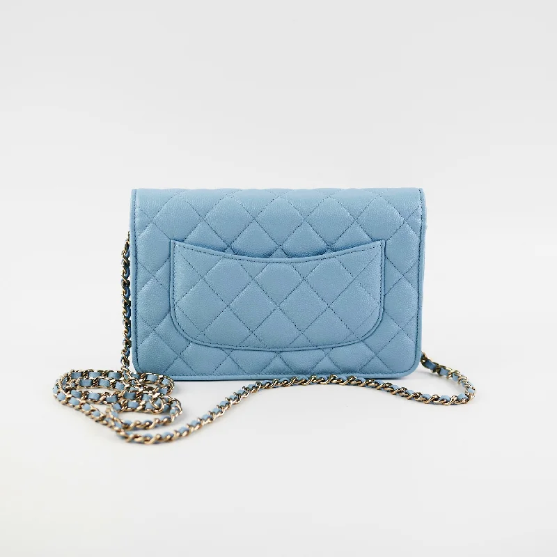 Affordable designer bag dupesChanel Wallet On Chain WOC Caviar Light Blue  (Microchip)